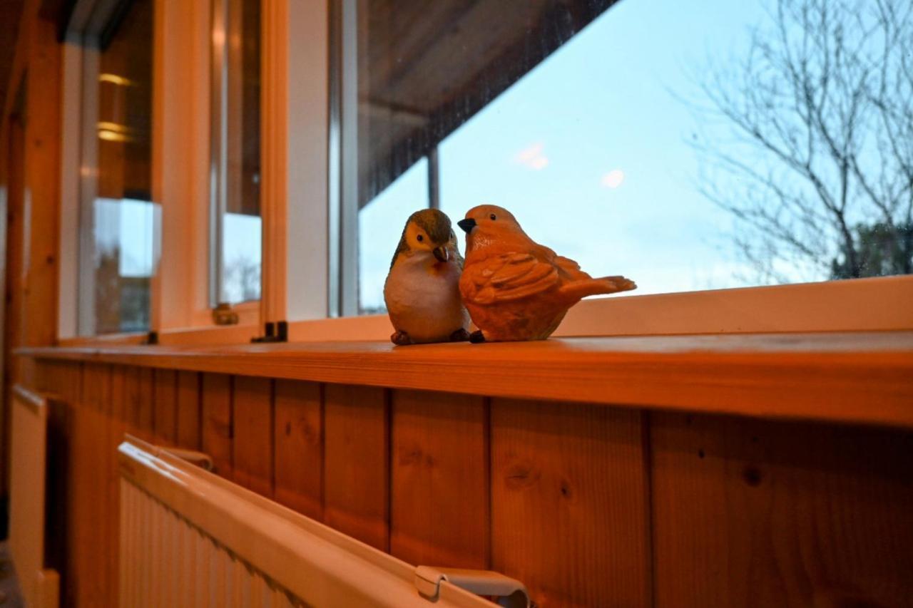 Thingvellir Cabin/Chalet Selfoss Extérieur photo