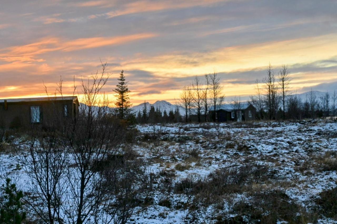 Thingvellir Cabin/Chalet Selfoss Extérieur photo
